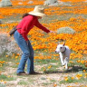 Meet your Posher, Sheila